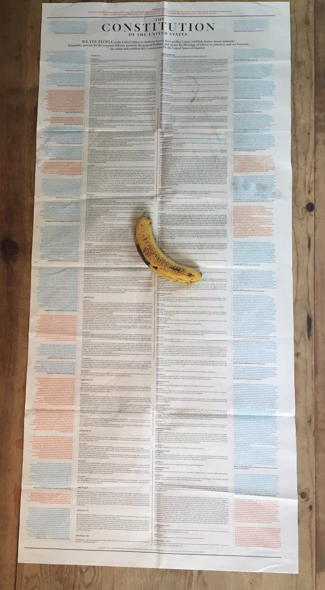 NYT constitution ()