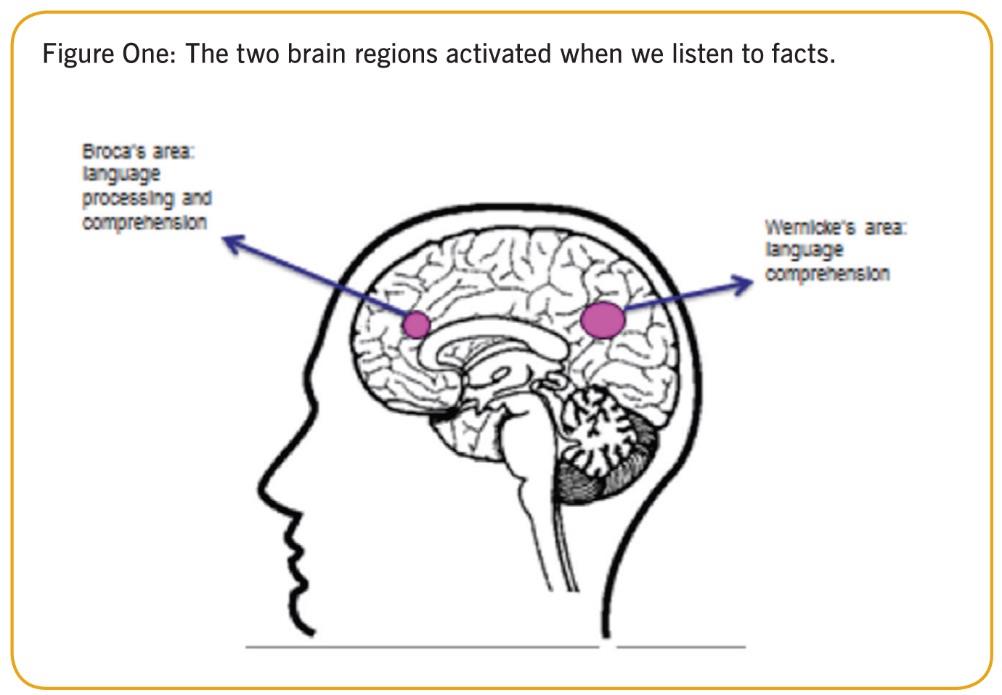 Brain regions figure one ()