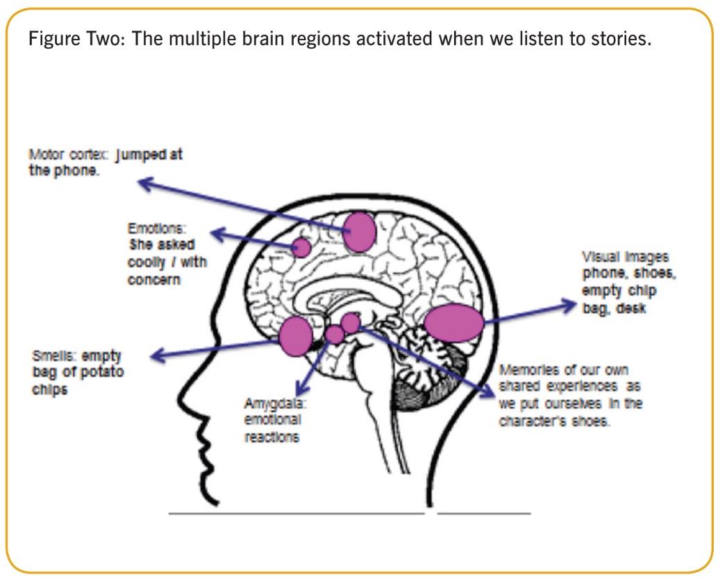 Brain regions figure two ()