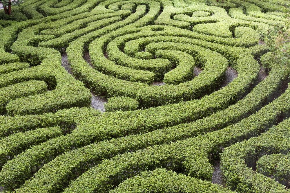 Maze ()