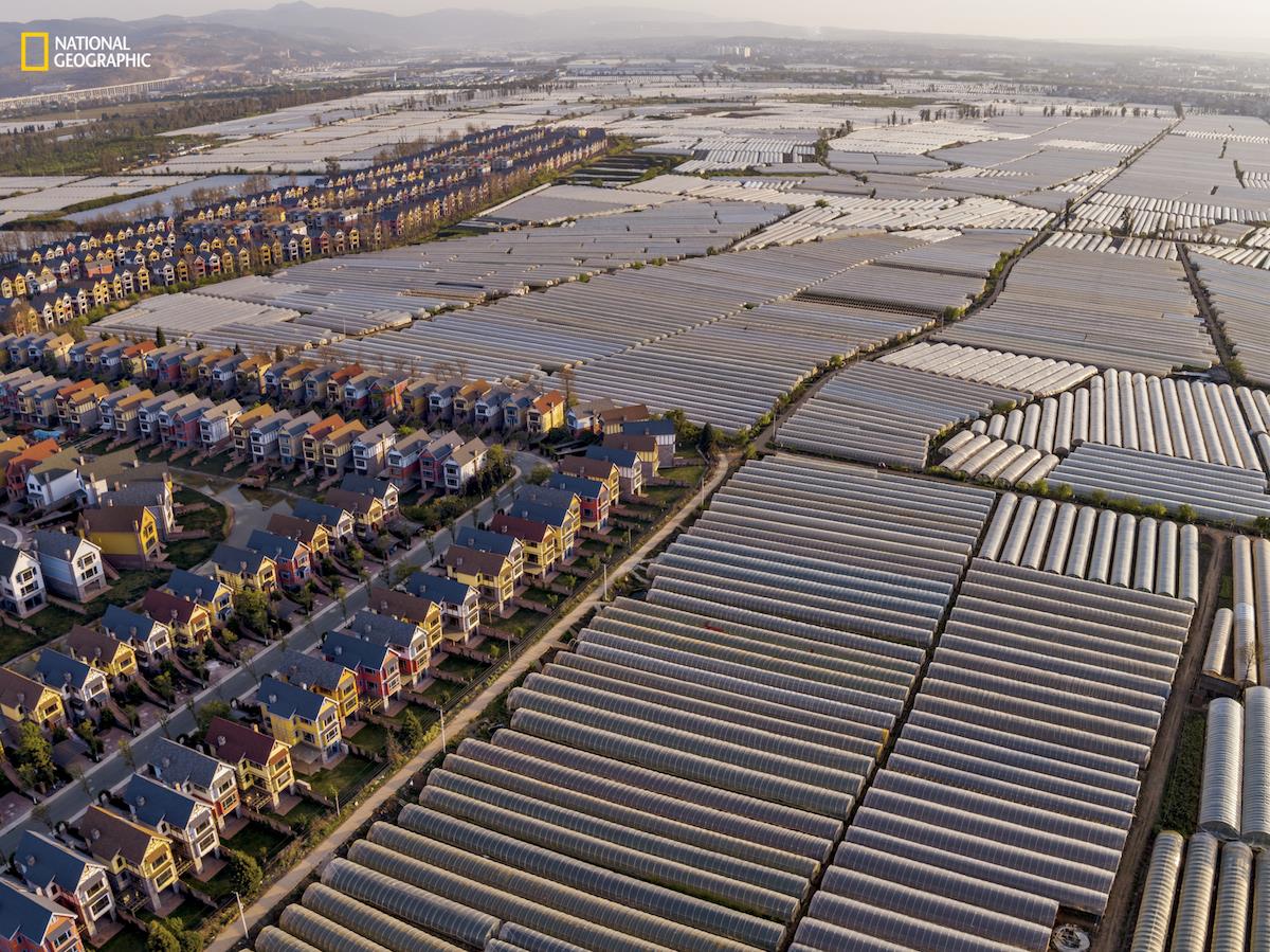 NatGeo Feed China 3 ()