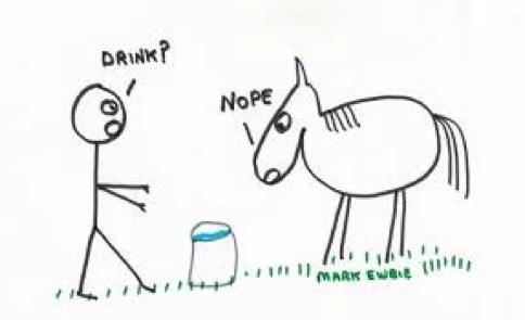 Taking the horse to water ()