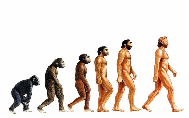 Evolution ()
