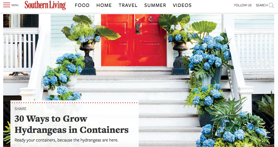 Southern Living ()