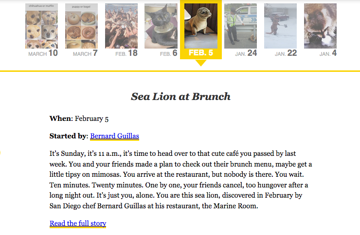 NY Mag Year in memes detail ()