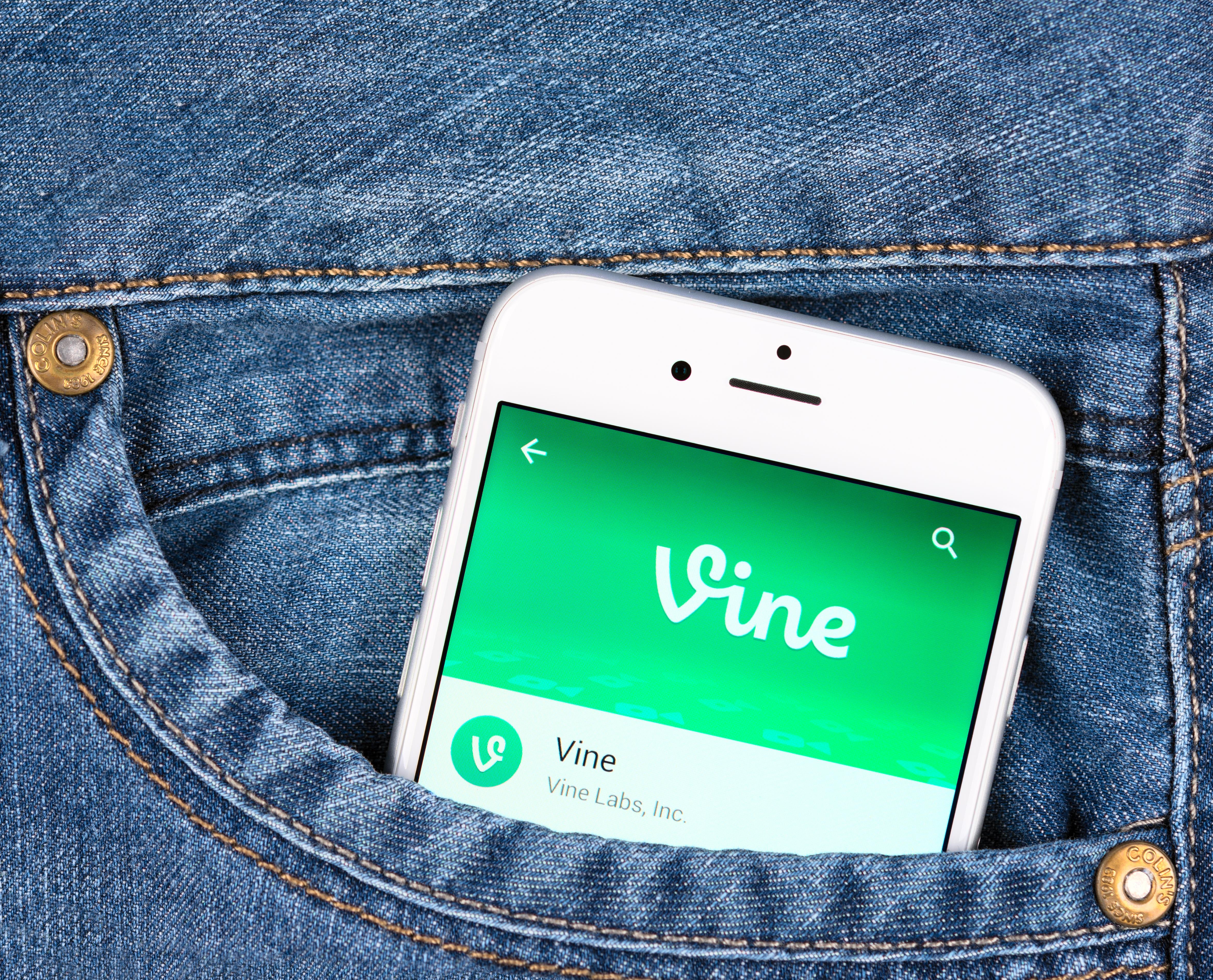 Vine ()
