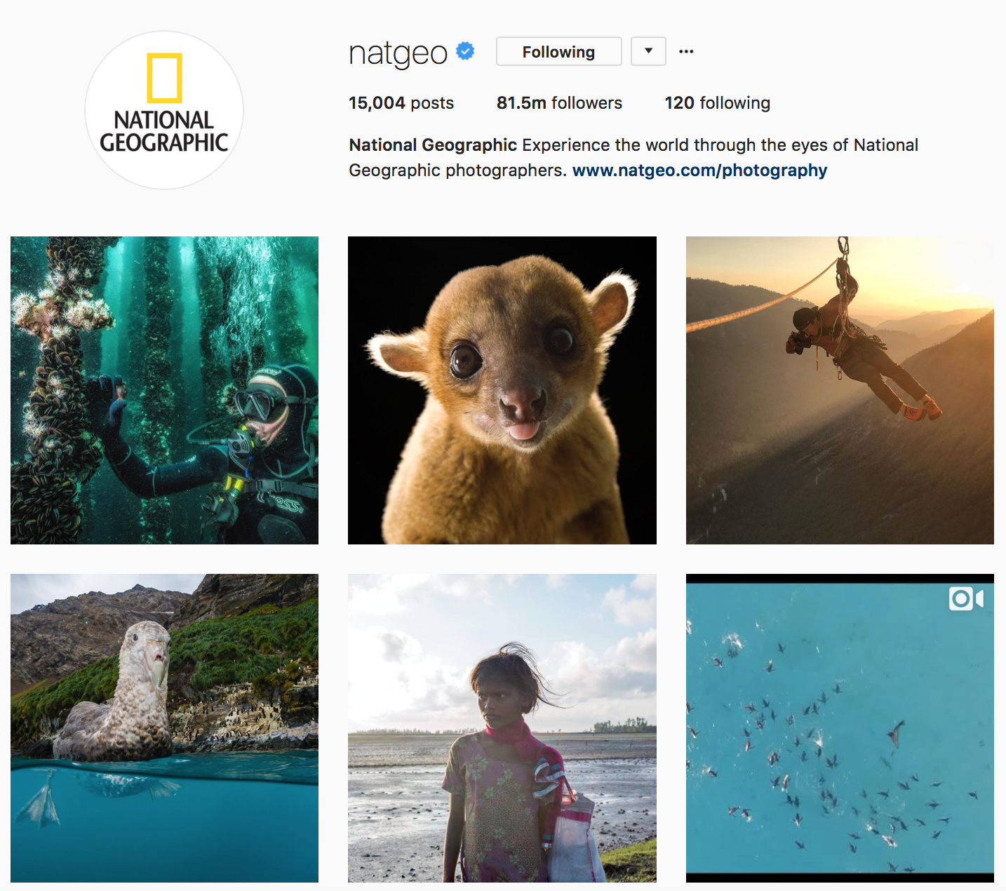 NatGeo Instagram ()